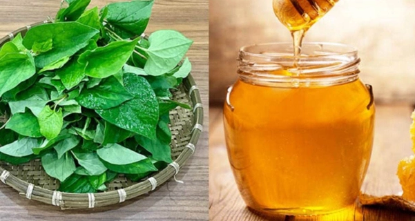 9 cách trị mụn bằng rau diếp cá tại nhà an toàn không tốn kém - 3