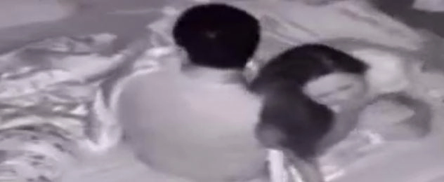 Nửa đêm giật mình bật dậy ôm chầm người bên cạnh ông bố ngượng ngùng khi biết mình nhầm nhọt - 1
