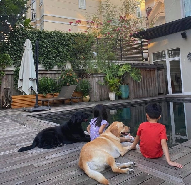 Xuất thân hào môn con gái tăng thanh hà đặng thu thảo mặc cùng một bộ đồ giá mềm - 3