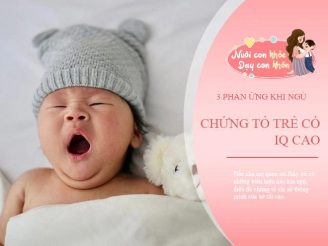 Đại học harvard trẻ càng bừa bộn 3 nơi này trong nhà chứng tỏ iq cao mẹ không cần dọn - 8