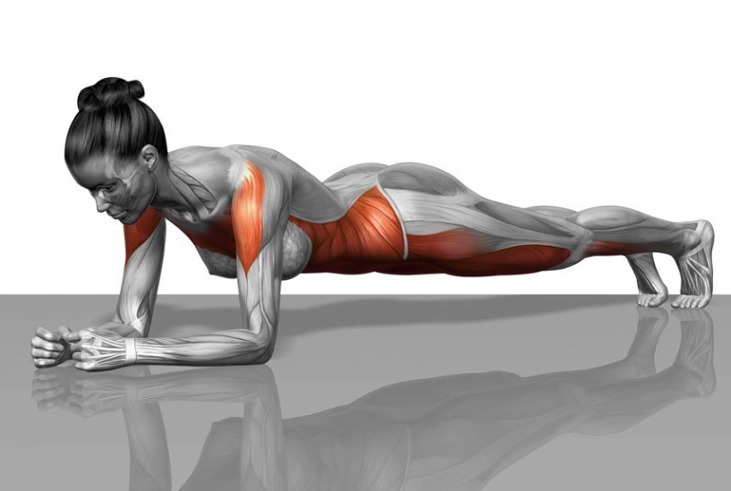 Tập cùng sao lệ quyên khoe eo khét lẹt với bikini nhờ chăm chỉ tập một động tác - 13
