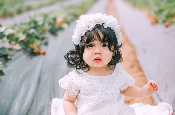 Tên chi có ý nghĩa gì gợi ý đặt tên cho con gái tên chi hay nhất - 1