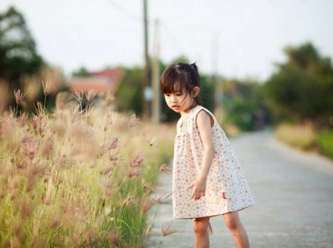 Bố họ diệp đặt tên gì cho con trai con gái thật hay và ý nghĩa - 4