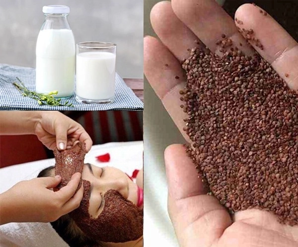 Cách đắp mặt nạ ngũ hoa đúng cách giúp trị mụn da trắng sáng mịn màng - 5