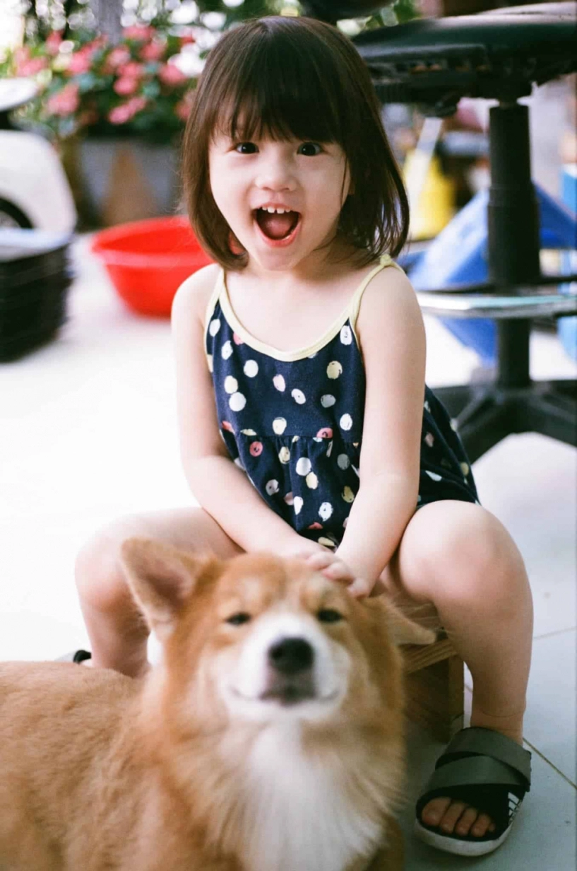 Con gái lai tây của phương vy idol lớn phổng phao gương mặt xinh như mỹ nhân - 10