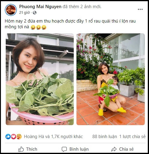 Mc phương mai thu hoạch rau trên sân thượng khoe có loại lá to hơn bàn tay người - 2