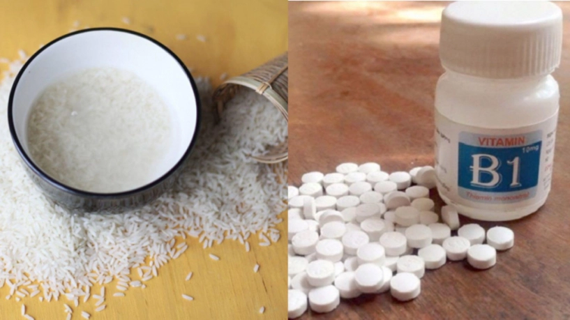 Sở hữu mái tóc suôn mềm chắc khỏe không khó nhờ bí quyết ủ tóc bằng nước gạo siêu dễ - 5