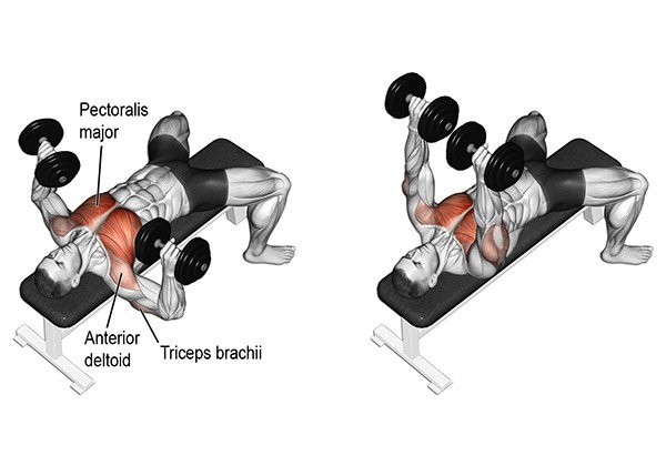 Lưu diệc phi leo top 1 tìm kiếm khi xuất hiện với hình ảnh hàng xương biểu tình - 11
