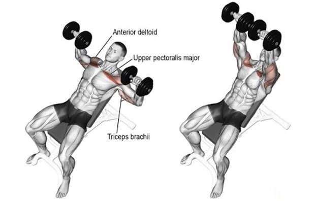 Lưu diệc phi leo top 1 tìm kiếm khi xuất hiện với hình ảnh hàng xương biểu tình - 15