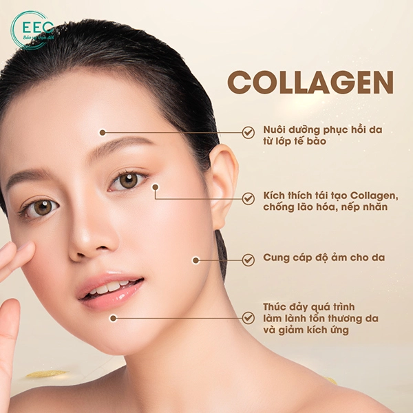 Pure collagen 4 tác động vượt trội xuất xứ từ ý đáp ứng nhu cầu phụ nữ việt - 4
