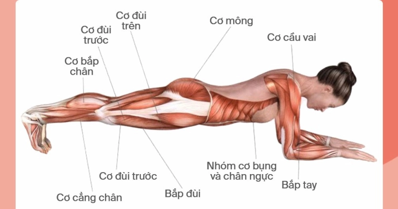 Tập cùng sao thể dục ở nhà bài gì dễ sai nhất - 4