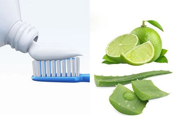 10 cách trị mụn bằng nha đam đúng cách để có làn da trắng sáng mịn màng - 7