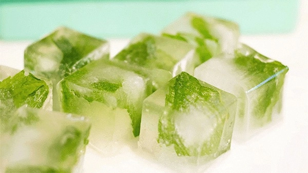10 cách trị mụn bằng nha đam đúng cách để có làn da trắng sáng mịn màng - 10