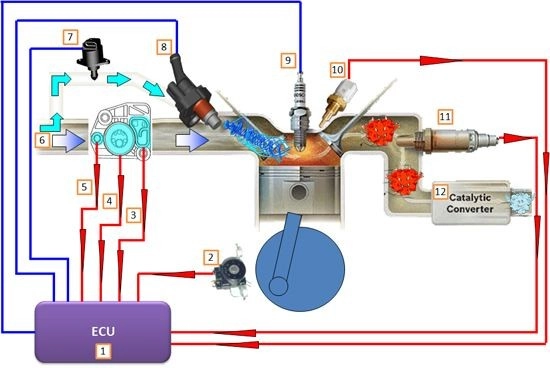 Khác biệt giữa phun xăng điện tử và bộ chế hòa khí hệ thống nào tốt hơn - 5