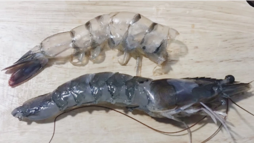 5 cách nấu cháo cải bó xôi cho bé ăn mãi không chán - 2