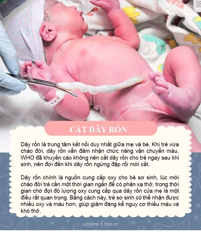 72 giờ vàng sau khi bé được sinh ra mẹ làm những điều này con lớn không ốm - 6