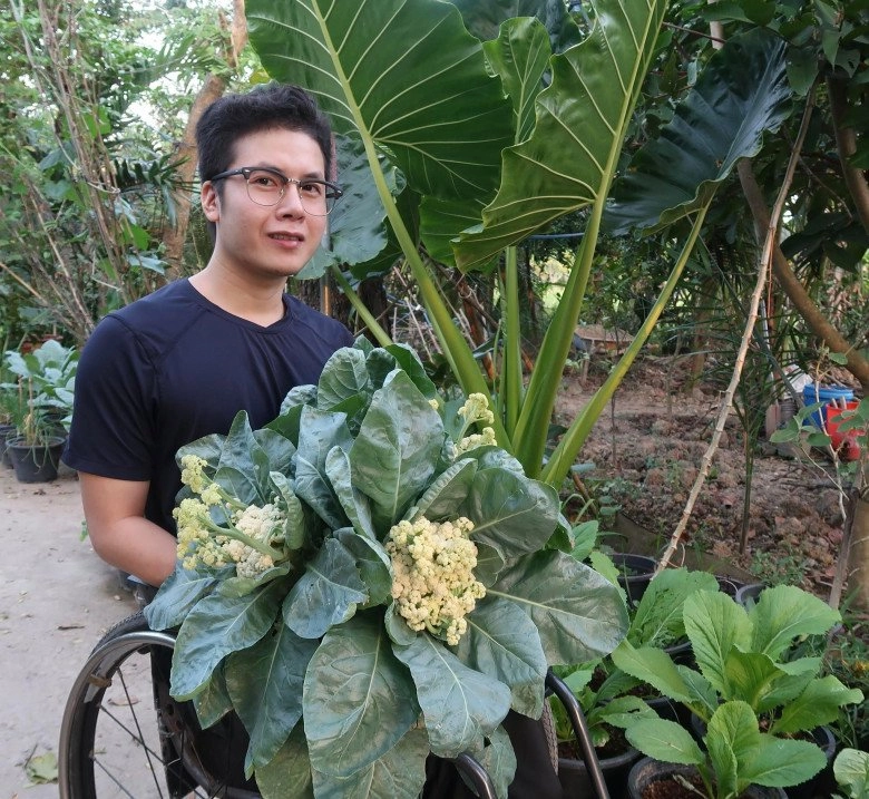 Chàng trai đi xe lăn chăm vườn 60m2 gia đình không cần mua rau còn dư mang cho hàng xóm - 1