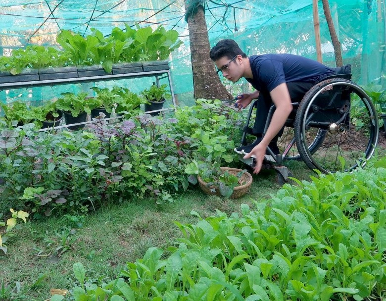 Chàng trai đi xe lăn chăm vườn 60m2 gia đình không cần mua rau còn dư mang cho hàng xóm - 9