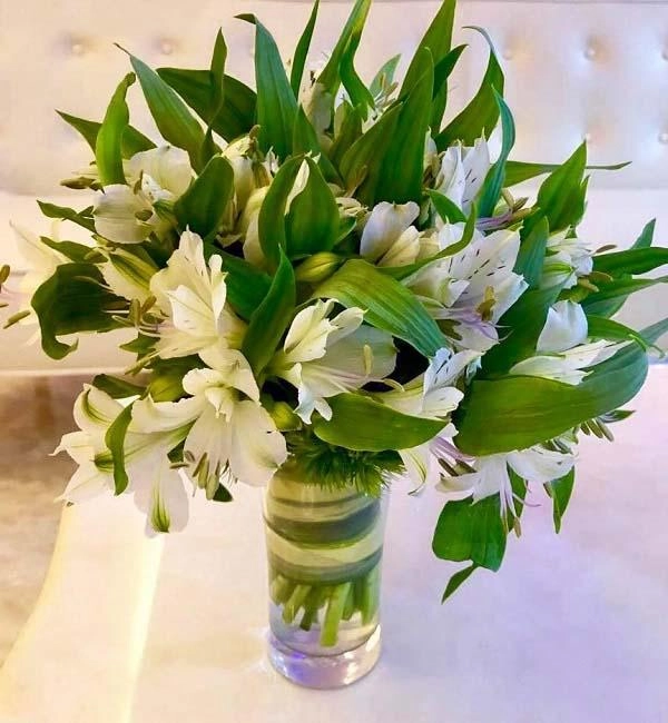 Hoa thủy tiên có ý nghĩa gì và cách trồng cây tốt ra hoa đẹp - 11