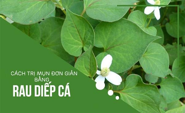Mụn trứng cá xuất hiện do đâu và cách điều trị hiệu quả - 8