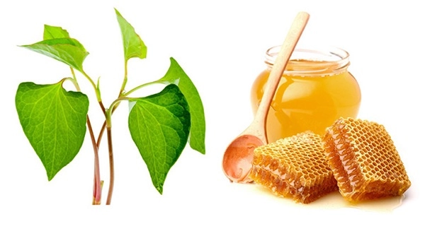 8 cách làm mặt nạ diếp cá giúp trị mụn nám hiệu quả tại nhà - 5