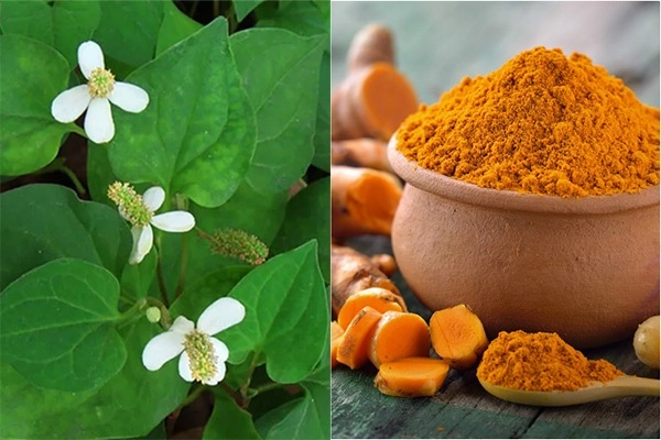 8 cách làm mặt nạ diếp cá giúp trị mụn nám hiệu quả tại nhà - 9