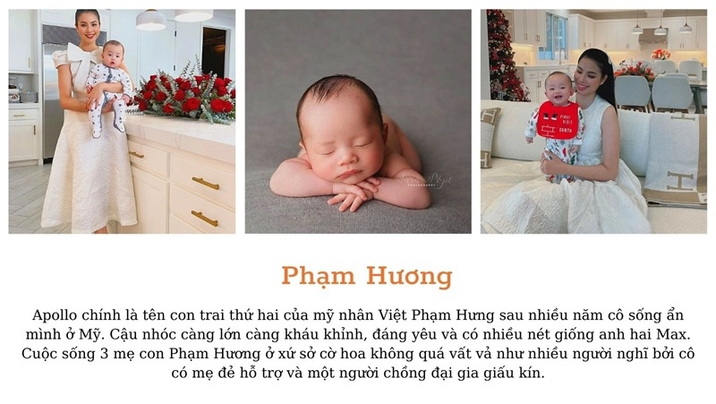 10 trâu vàng sinh năm 2021 con đại gia hà tăng phạm hươngđến cặp song sinh thụ tinh nhân tạo - 2