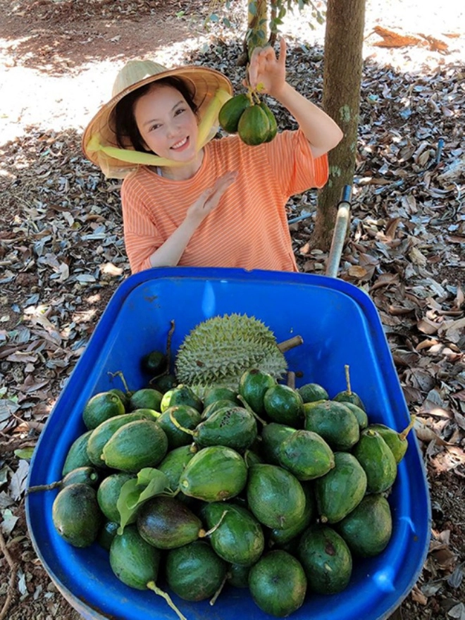 Minh hằng ngọc trinh lý nhã kỳ vừa xinh vừa giàu sở hữu đất vườn trước khi lấy chồng - 7