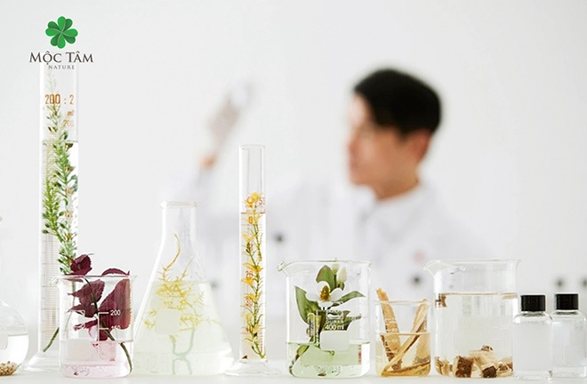 Mộc tâm nature hơn cả mỹ phẩm thiên nhiên đó là sự dưỡng lành từ những điều mộc mạc - 3