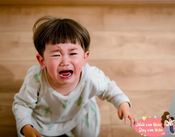 4 bí quyết dạy con ngoan sự nghiệp dễ thành công đường đời suôn sẻ khi lớn - 3
