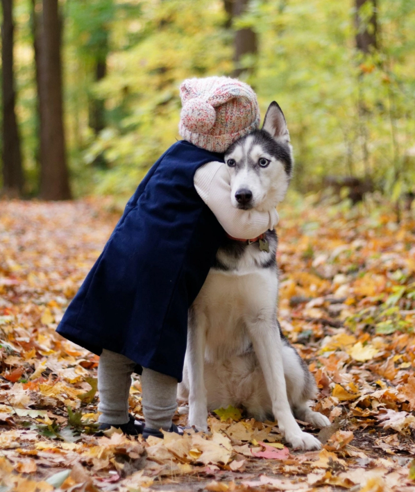Chó husky - đặc điểm tính khí và cách nuôi tốt nhất - 6