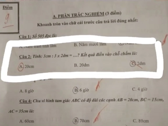 Cô giáothường xuyên mặc váy ngắn nhảy trước mặt học sinh mẫu giáo phụ huynh tức giận báo hiệu trưởng - 12