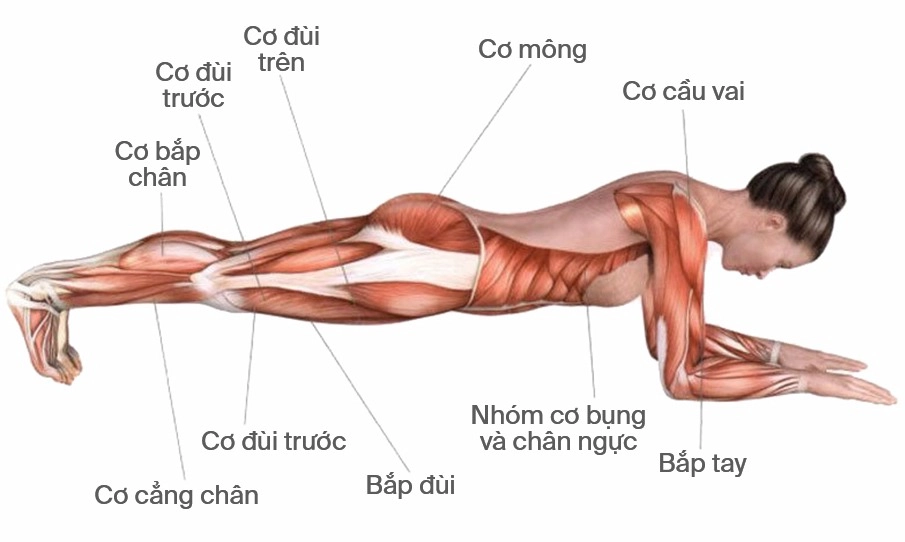 1 phút plank bằng 1000 cái gập bụng nhưng chắc chắn còn bí mật bạn chưa biết - 1