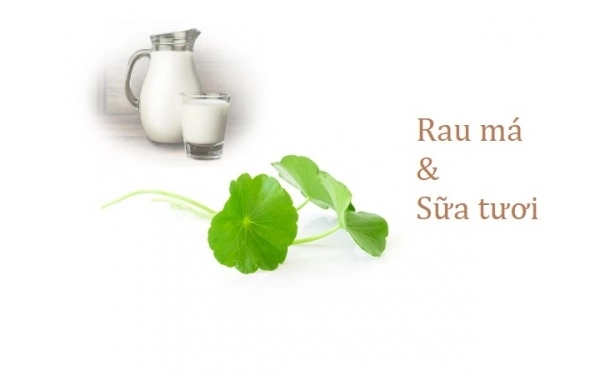 10 cách làm mặt nạ rau má giúp trị mụn dưỡng da trắng sáng mịn màng - 3