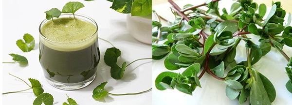 10 cách làm mặt nạ rau má giúp trị mụn dưỡng da trắng sáng mịn màng - 9