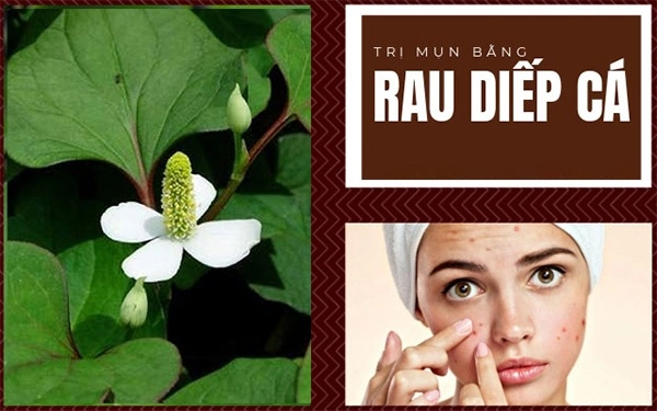 10 cách trị mụn viêm sưng đỏ tại nhà an toàn hiệu quả - 2