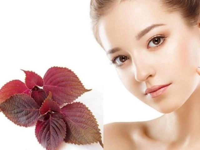 11 cách trị mụn thịt tận gốc tại nhà an toàn hiệu quả nhanh nhất - 17