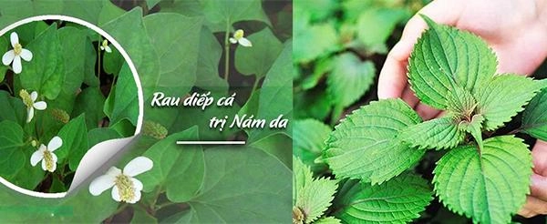 12 cách làm mặt nạ diếp cá giúp trị mụn nám hiệu quả tại nhà - 2