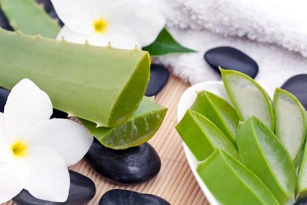 12 cách trị thâm nách tại nhà an toàn hiệu quả từ nguyên liệu tự nhiên - 5