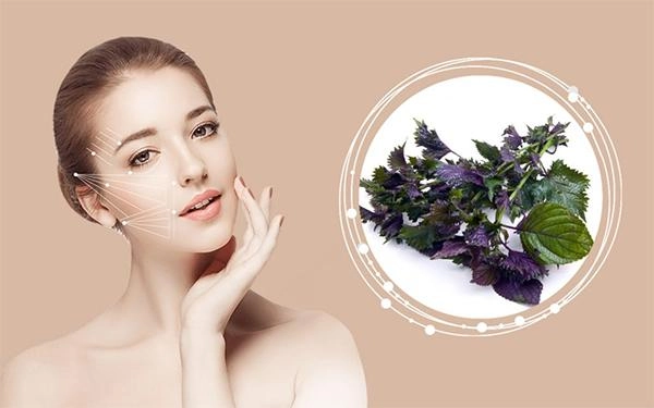 13 cách trị mụn lưng từ nguyên liệu tự nhiên an toàn và hiệu quả nhất - 9