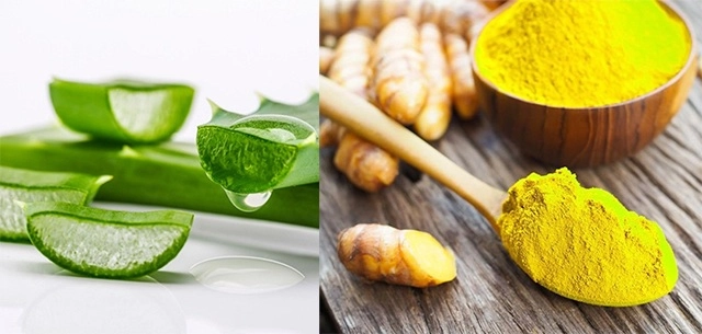 15 công thức tự làm mặt nạ nha đam tại nhà giúp nàng dưỡng da hiệu quả - 12
