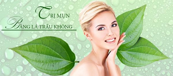 16 cách trị mụn cám tại nhà hiệu quả nhanh nhất từ thiên nhiên - 10