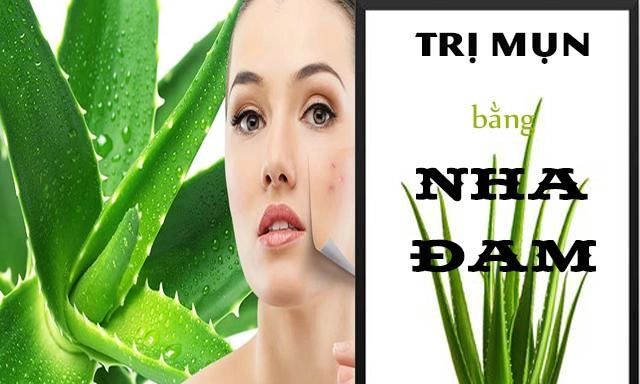 18 cách trị mụn ẩn tại nhà bằng thiên nhiên an toàn hiệu quả nhất - 3