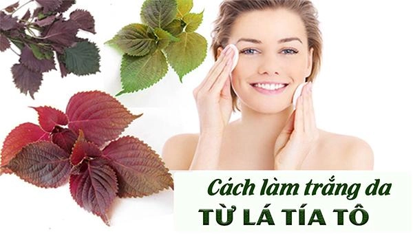 20 cách làm trắng da mặt tự nhiên tại nhà an toàn và hiệu quả nhất - 3