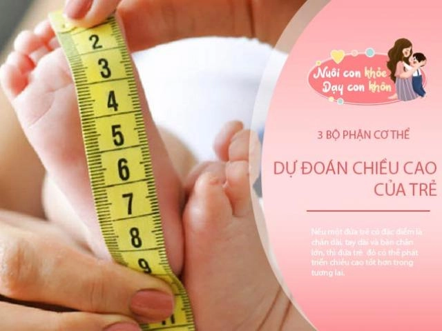 3 điều mẹ nên làm kích thích trẻ phát triển trí não sớm lớn lên thông minh xuất chúng - 8