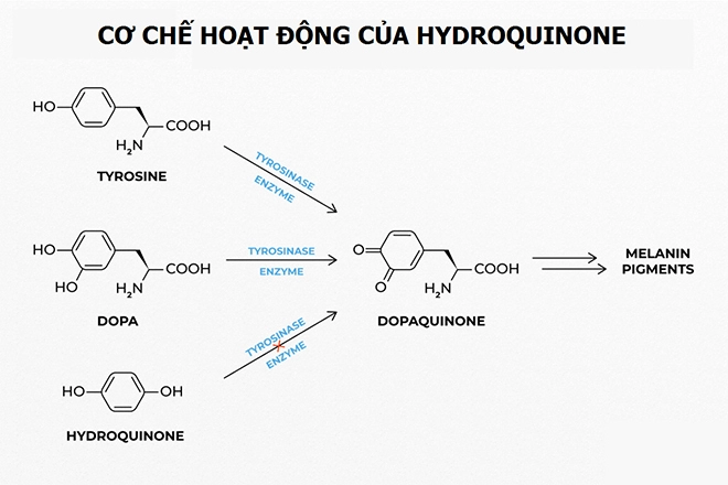3 hoạt chất vàng mờ nám lựa chọn nào hiệu quả - 2