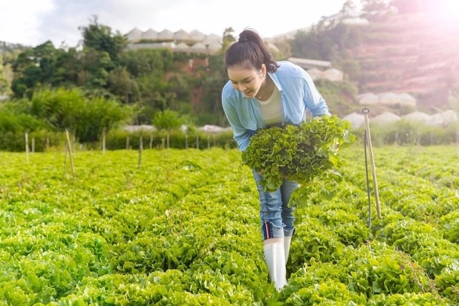 3 sao việt tậu nhà trên đà lạt nhìn nhà ai cũng đẹp như tranh vườn rau trái bát ngát - 8