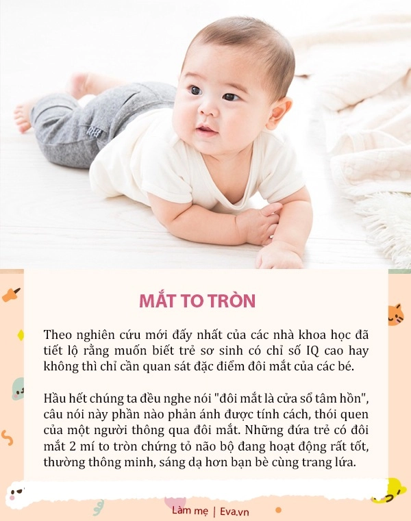 5 dấu hiệu từ đôi mắt chứng tỏ trẻ thông minh nghe khó tin nhưng được khoa học chứng minh - 2