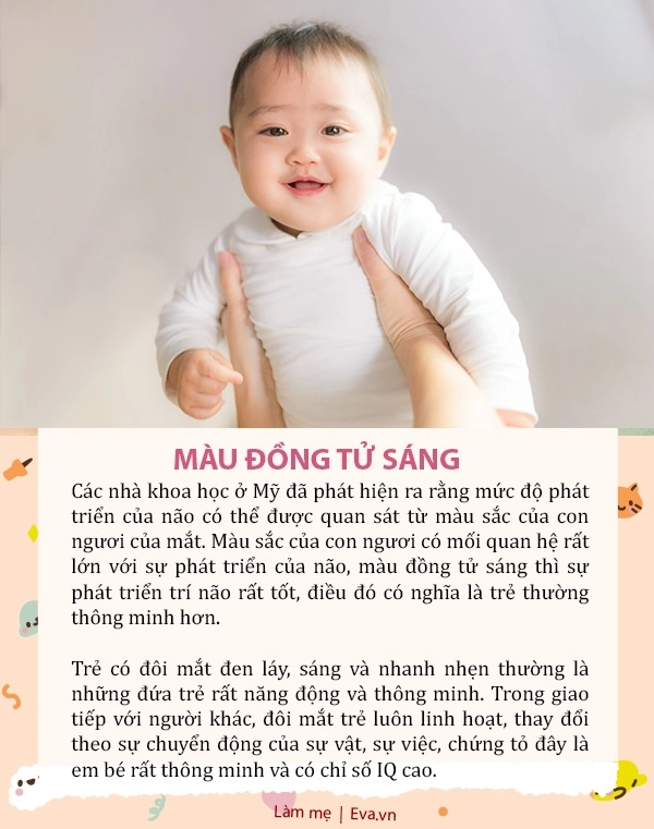 5 dấu hiệu từ đôi mắt chứng tỏ trẻ thông minh nghe khó tin nhưng được khoa học chứng minh - 5