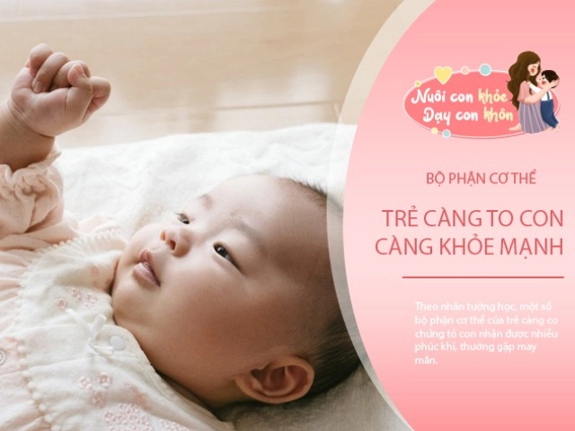 người mẹ siêu phàm nuôi dạy 6 con thành tiến sĩ cách đơn giản giúp trẻ học giỏi ít ai biết - 8